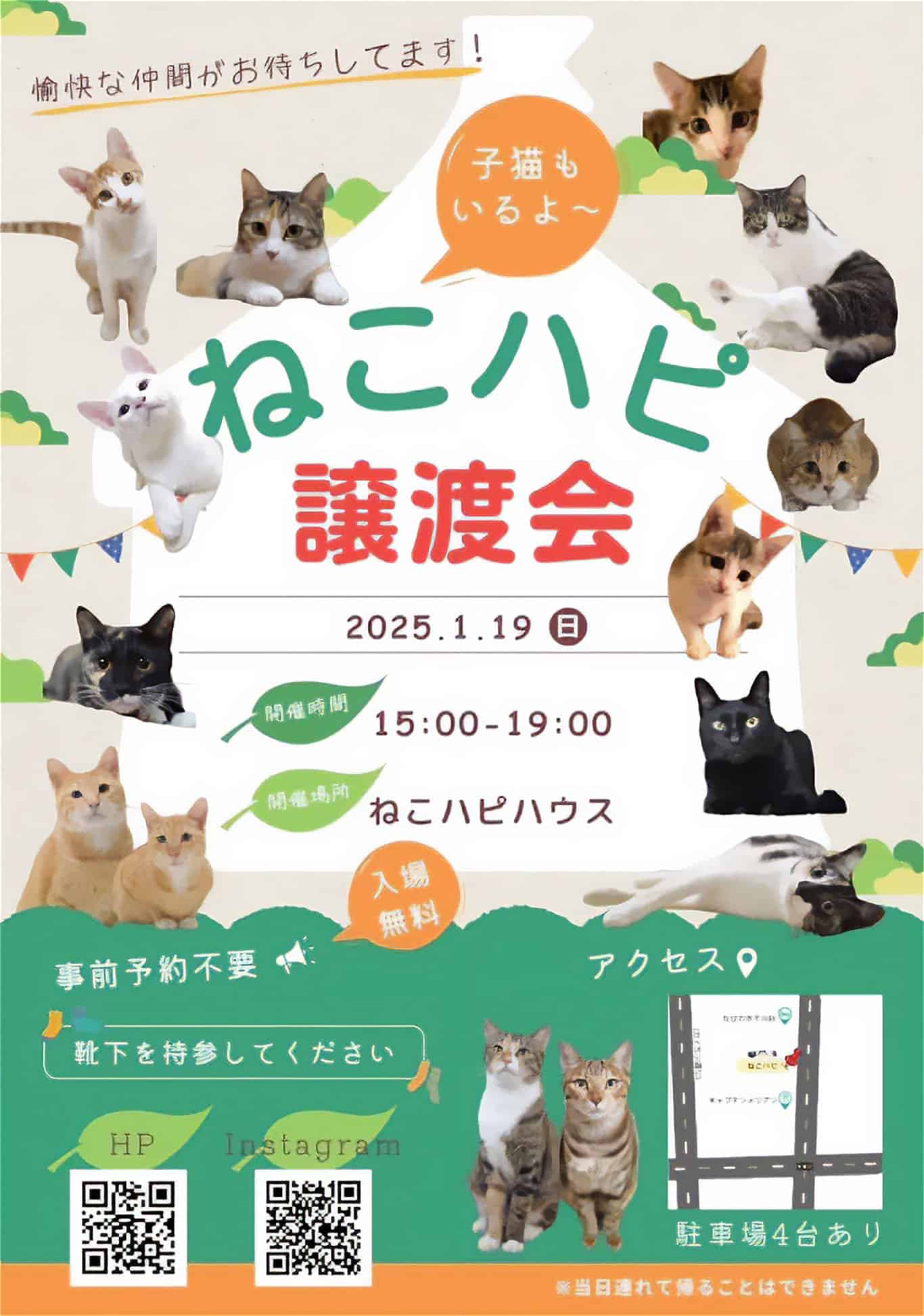 ねこハピ「子猫たちの保護猫譲渡会」2025.1.19