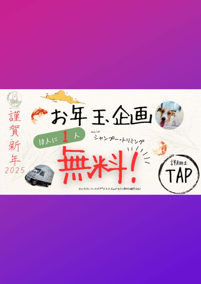 宮古島の出張ドッグサロンてぃーつりー『お正月イベント』