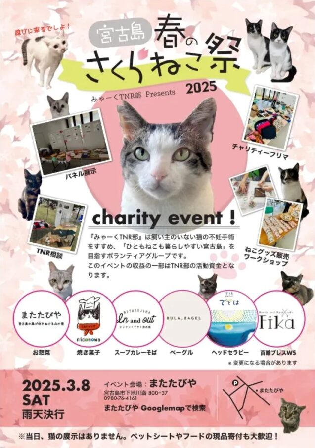 みゃーくTNR部「春のさくらねこ祭2025」開催！～チャリティーイベント～