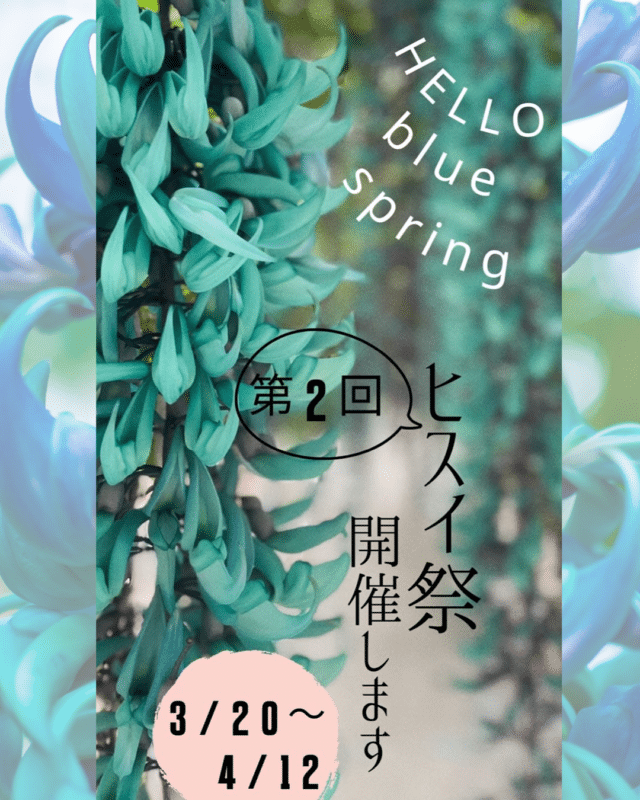 ユートピアファーム宮古島『第2回 HELLO blue Spring』開催！～ヒスイカズラ祭～