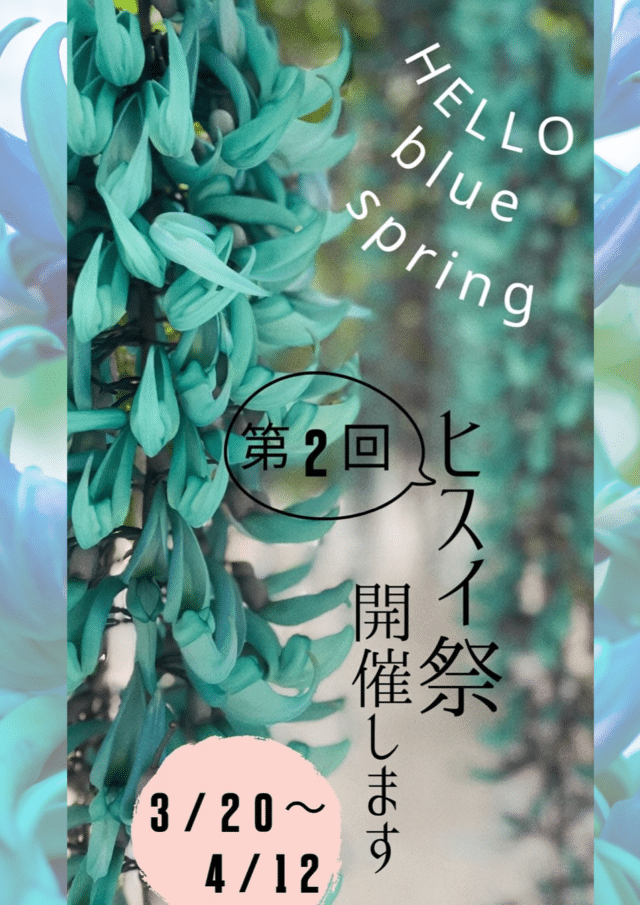 ユートピアファーム宮古島『第2回 HELLO blue Spring』開催！～ヒスイカズラ祭～