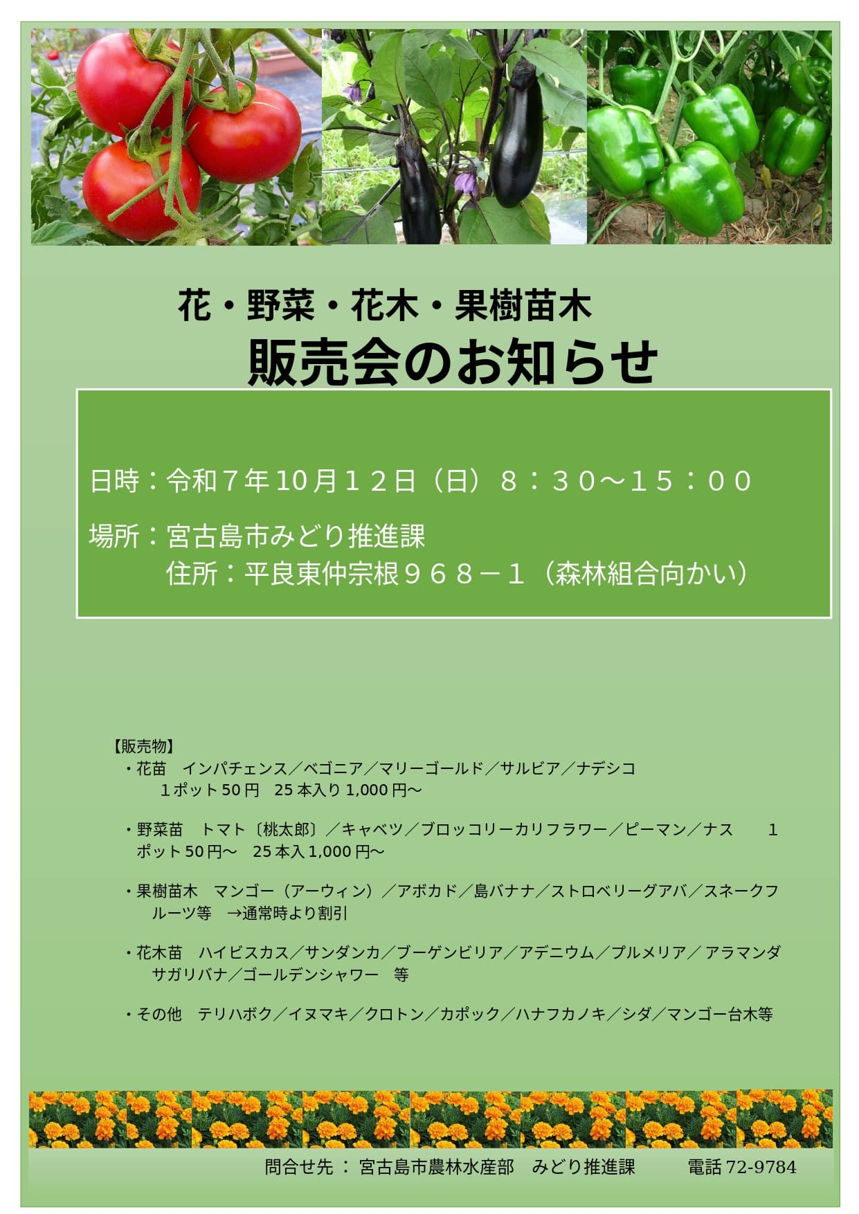 宮古島市『花・野菜・花木・果樹苗木の販売会』開催!