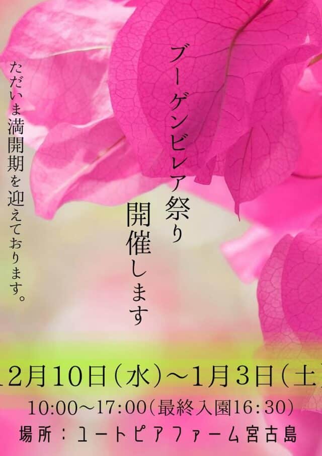 ユートピアファーム宮古島『ブーゲンビレア祭り』開催！