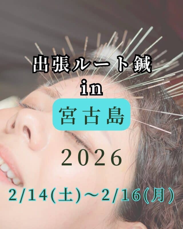 出張ルート鍼 in 宮古島