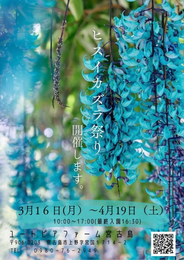 ユートピアファーム宮古島『ヒスイカズラ祭り2026』開催！