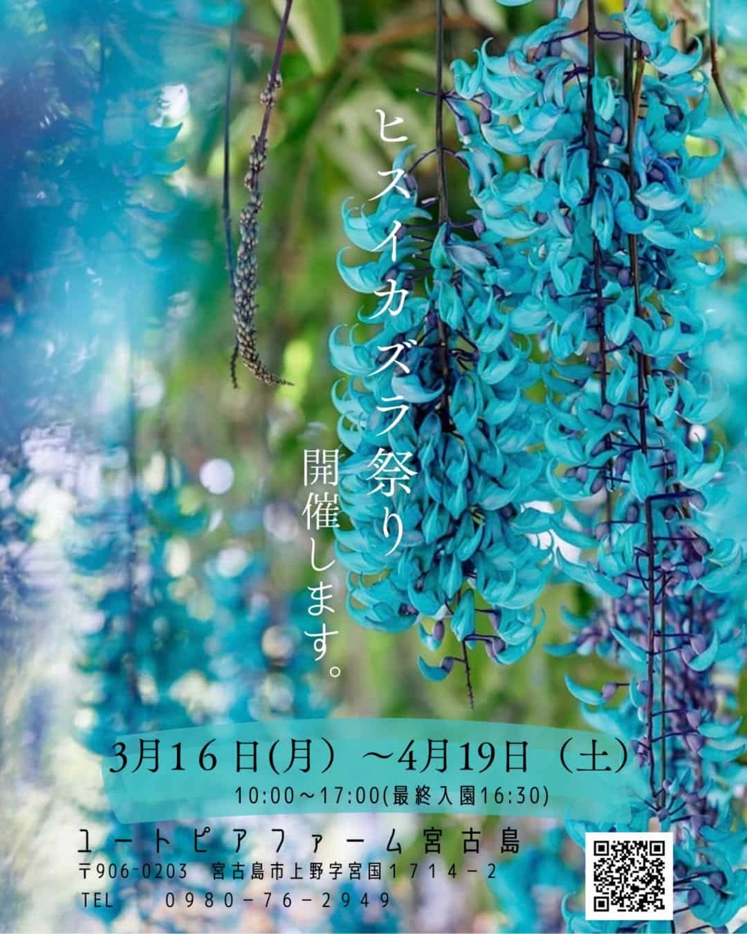 ユートピアファーム宮古島『ヒスイカズラ祭り2026』開催！