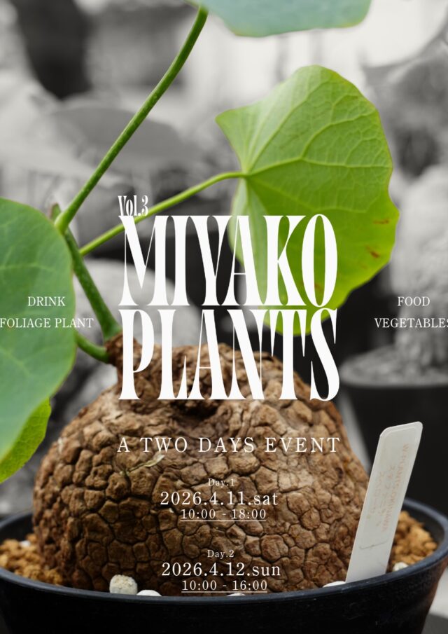 『MIYAKO PLANTS Vol.3』開催🌿