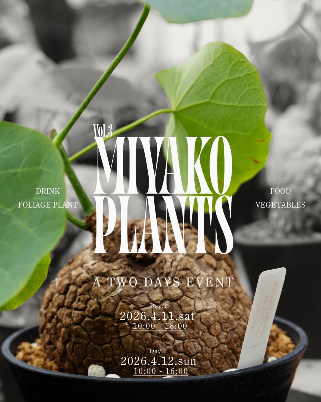 『MIYAKO PLANTS Vol.3』開催🌿