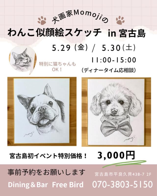 犬画家Momoji『わんこ似顔絵スケッチ in 宮古島』開催！