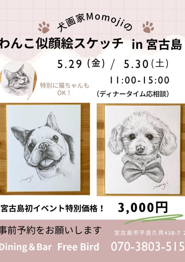 犬画家Momoji『わんこ似顔絵スケッチ in 宮古島』開催！