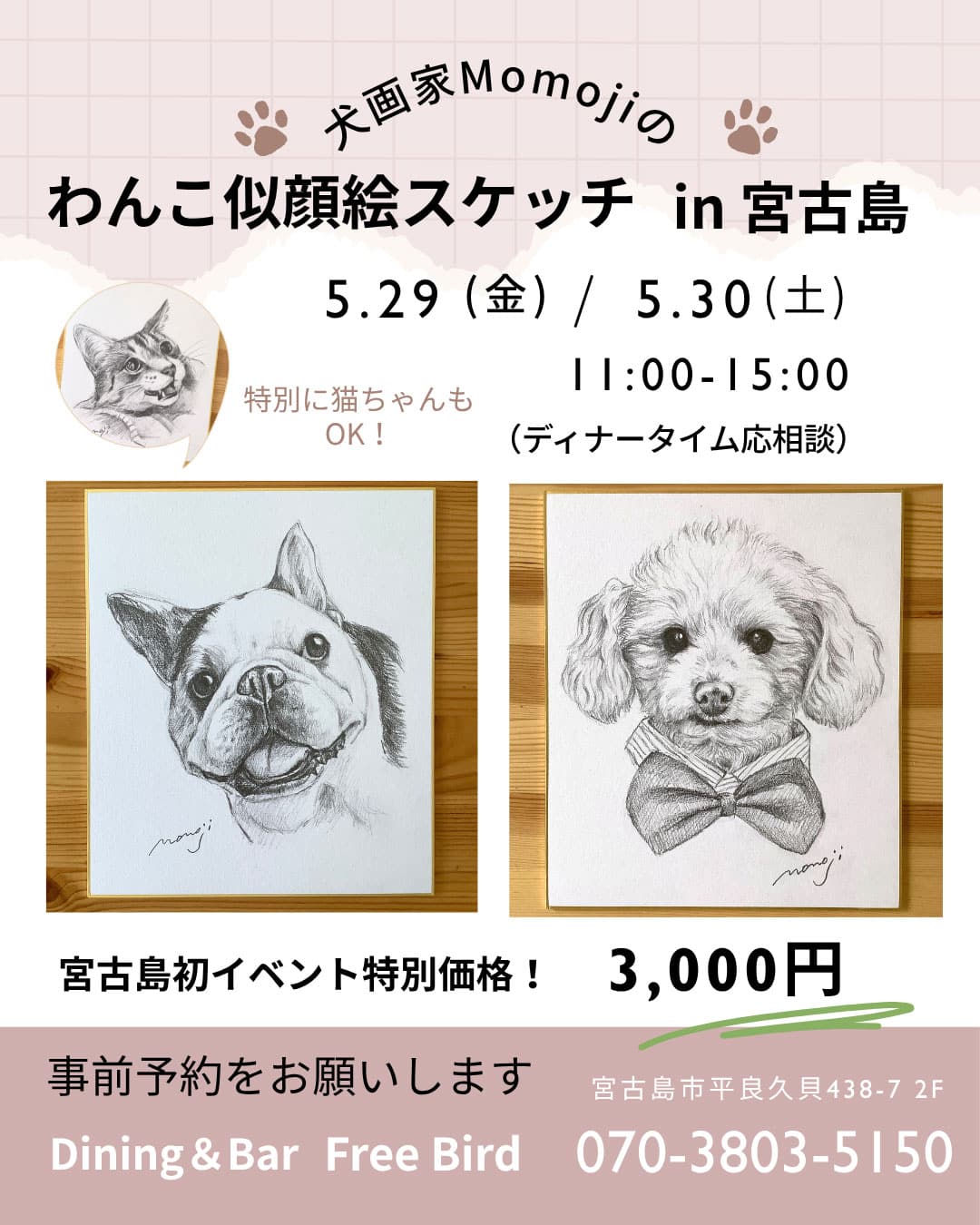 犬画家Momoji『わんこ似顔絵スケッチ in 宮古島』開催！