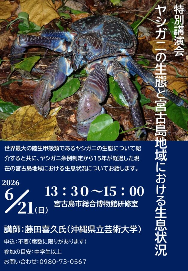 宮古島市総合博物館 講演会「ヤシガニの生態と宮古島地域における生息状況」開催！