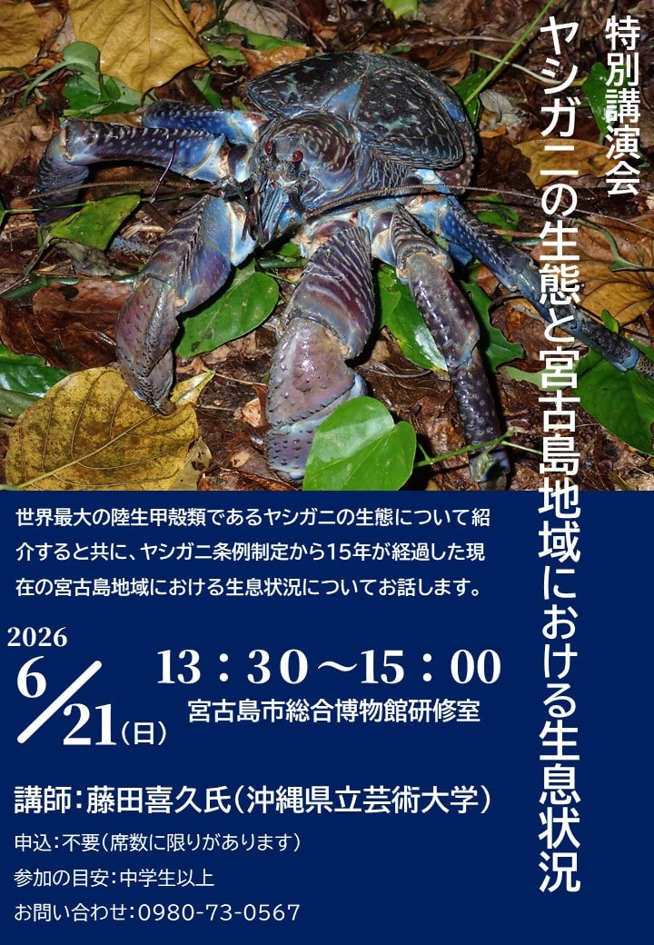 宮古島市総合博物館 講演会『ヤシガニの生態と宮古島地域における生息状況』開催！