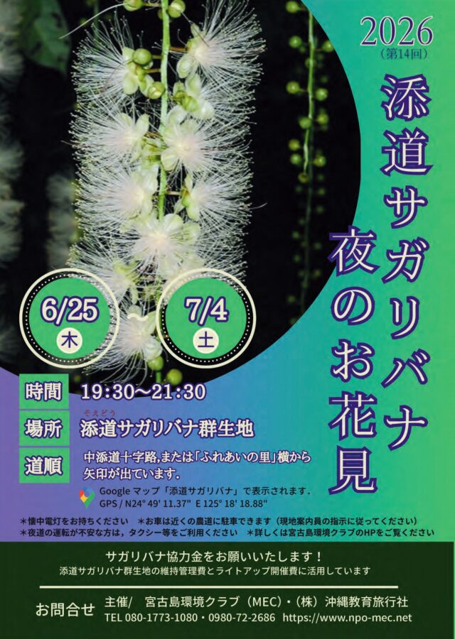 宮古島「添道サガリバナ 夜のお花見2026」開催！