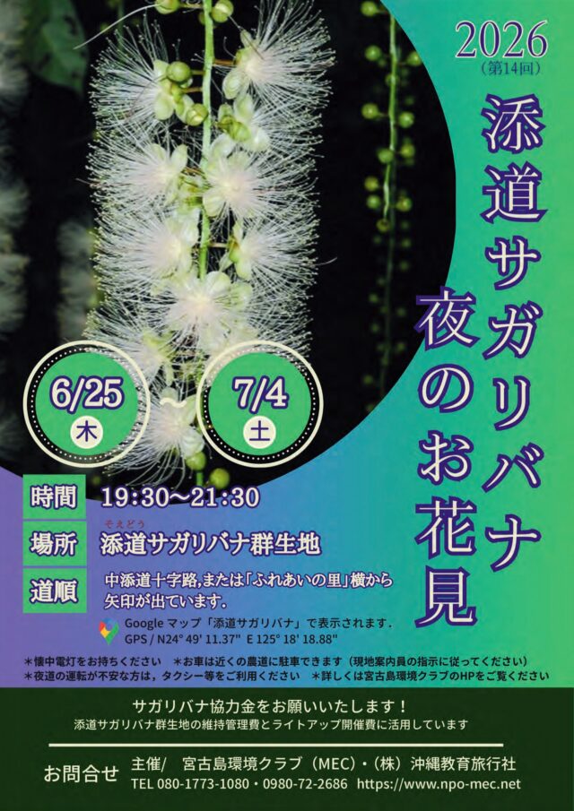 宮古島「添道サガリバナ 夜のお花見2026」開催！