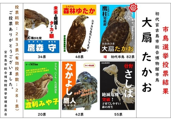あなたの一票で決まる！『第2代 宮古島市鳥（サシバ）選挙』開幕
